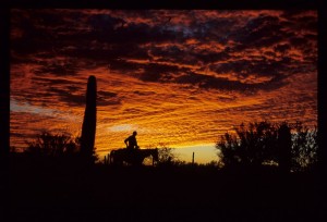 Stuntman_Saguaro_Sunset_1